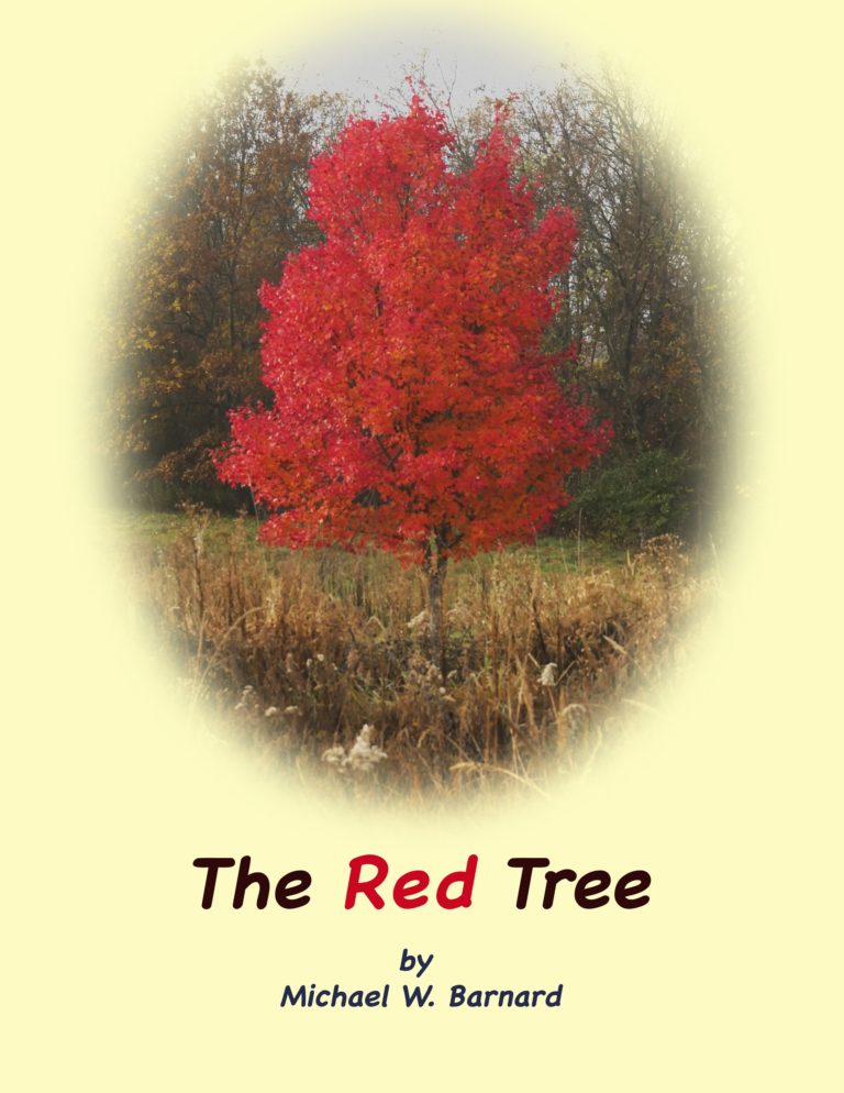book the red tree book the red tree