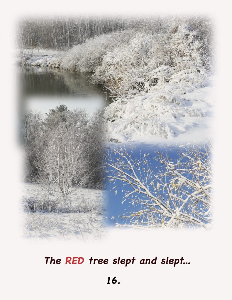The Red Tree – A new children's nature picture book!